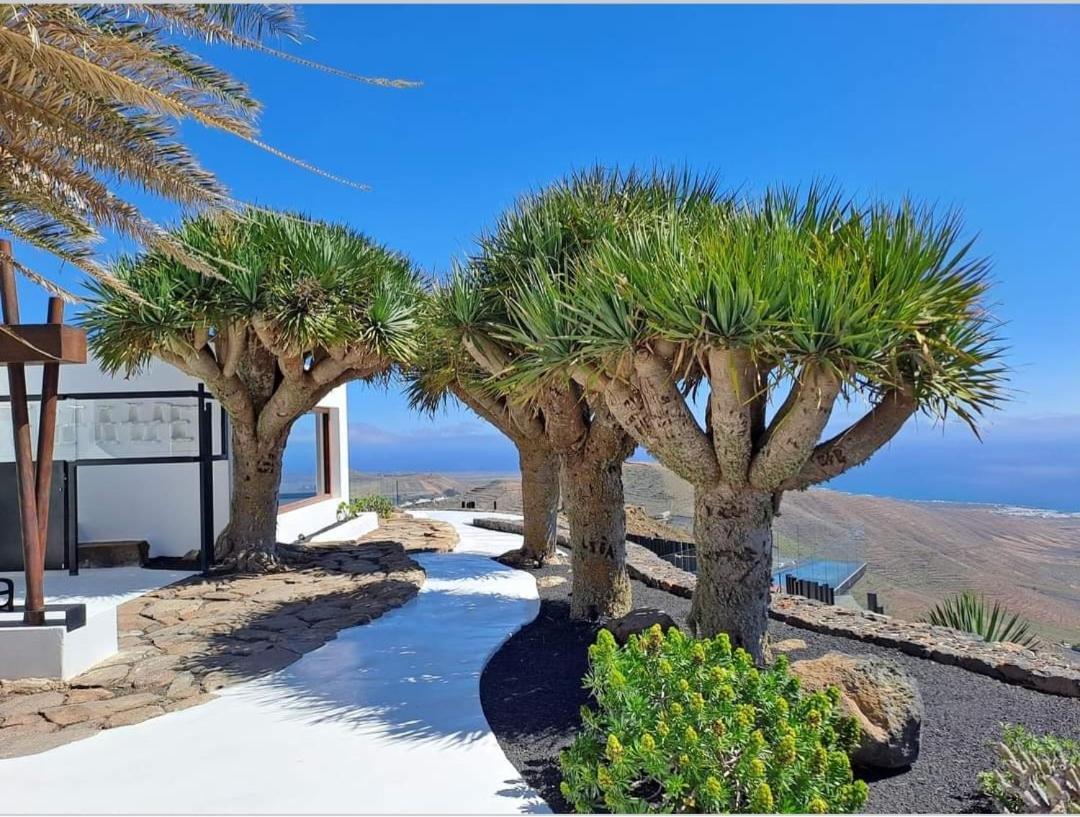 Casa La Tunera, Country House, Haria, Lanzarote Exterior foto